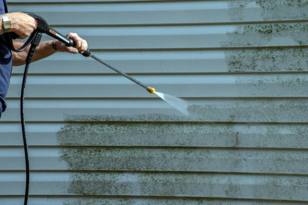 Why Choose Our Certified Pressure Washing Experts for Your Project Needs in Lealman, FL?