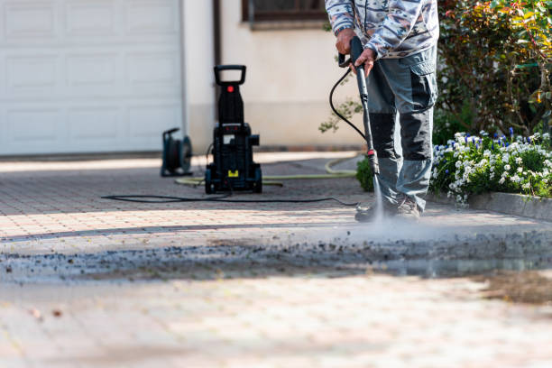 Best Roof Pressure Washing  in Lealman, FL