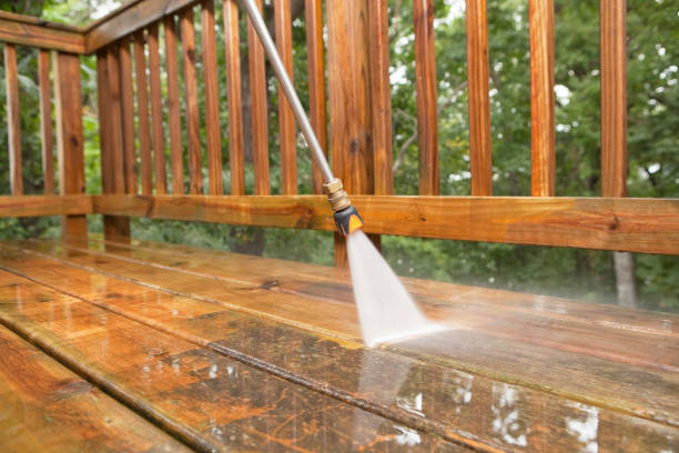 Best Roof Power Washing Services  in Lealman, FL